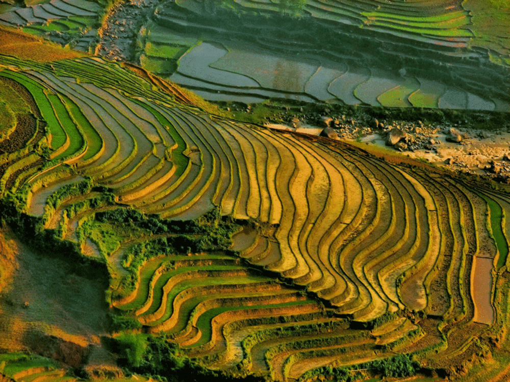 The Mường Hoa Valley in Sapa