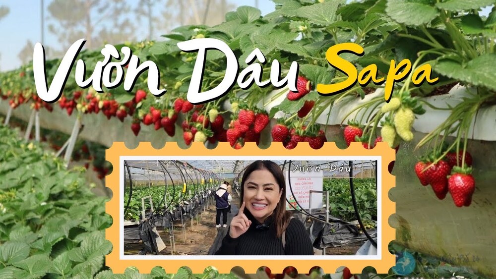 Top 5 hoạt động du lịch ở Sapa