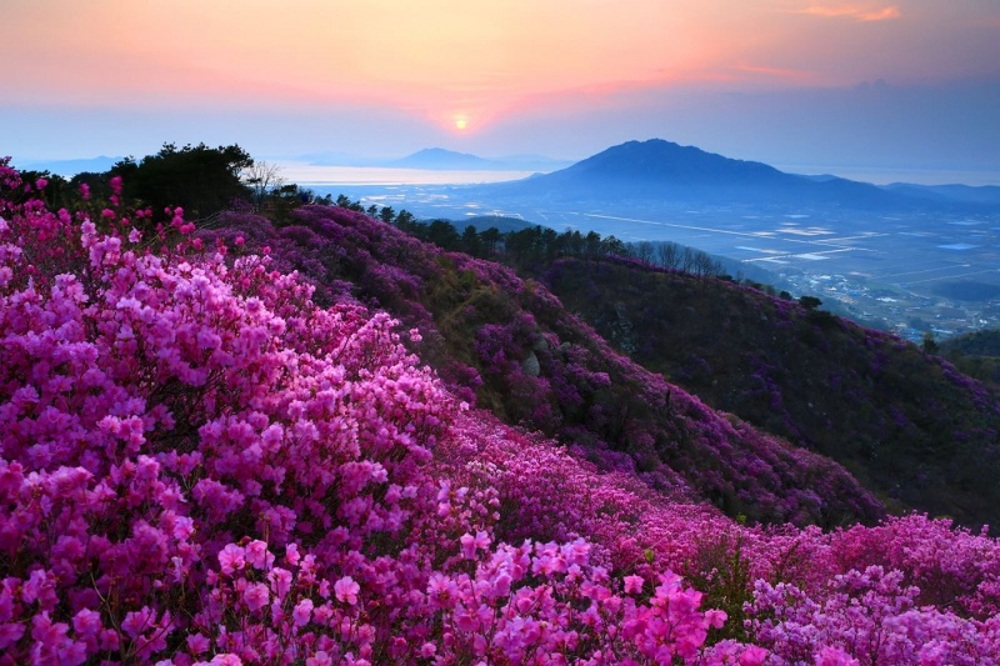 Mùa xuân trên Sapa