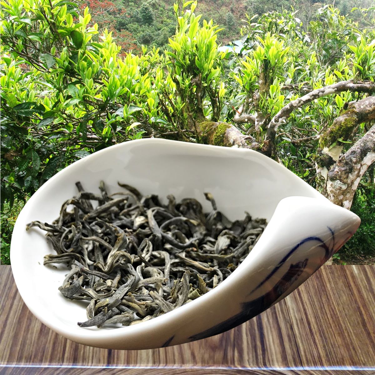 5-distinct-types-of-tea-found-only-in-northern-vietnam